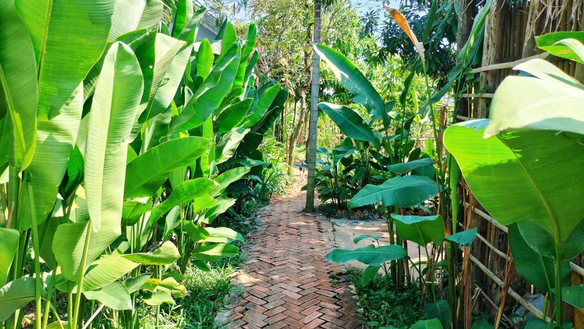 Urban Farmhouse Siem Reap Exterior photo