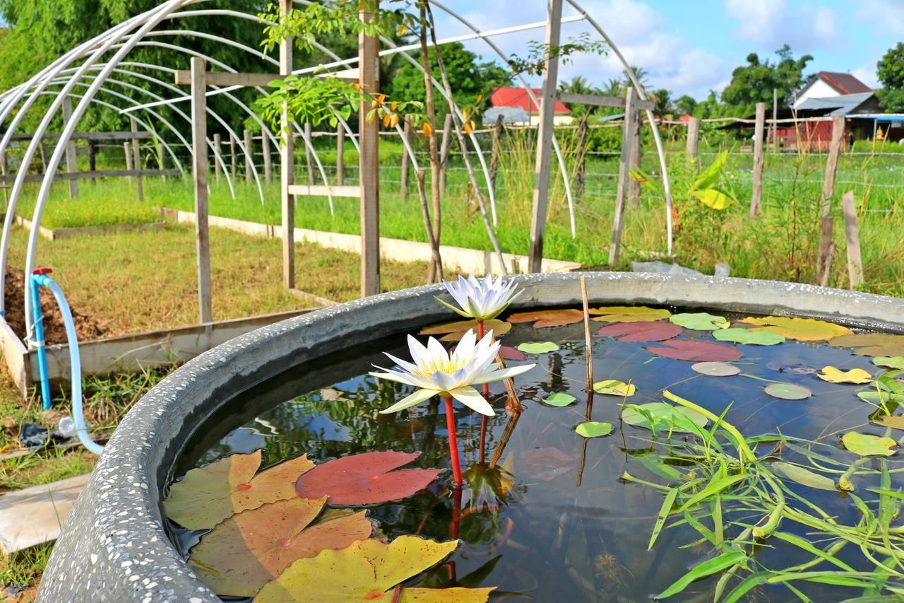 Urban Farmhouse Siem Reap Exterior photo